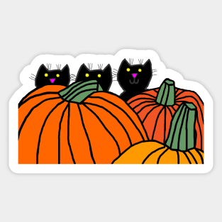 Kittens hiding in the Pumpkin Pile for Halloween Sticker